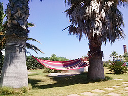 barchagrande